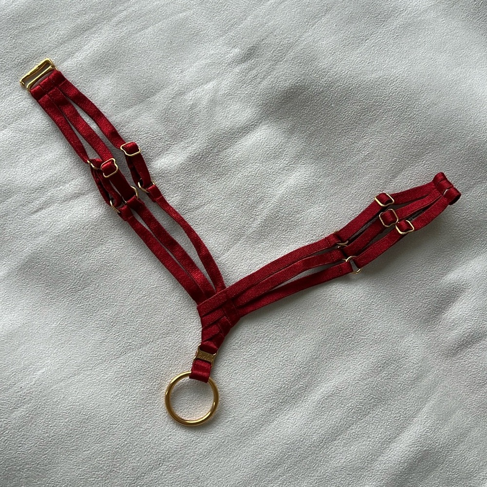 Bordelle Asobi collar/choker in burnt red